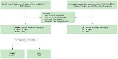 Comparative effectiveness of nipple-sparing mastectomy and breast-conserving surgery on long-term prognosis in breast cancer